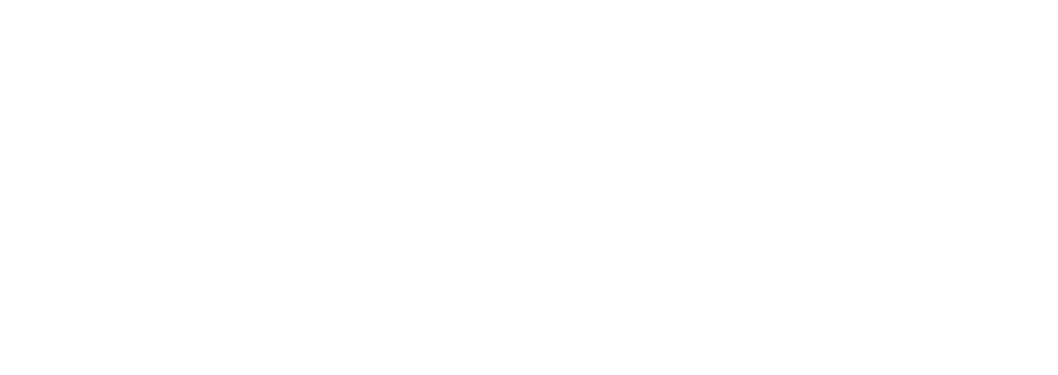 Ultimate WP Audit