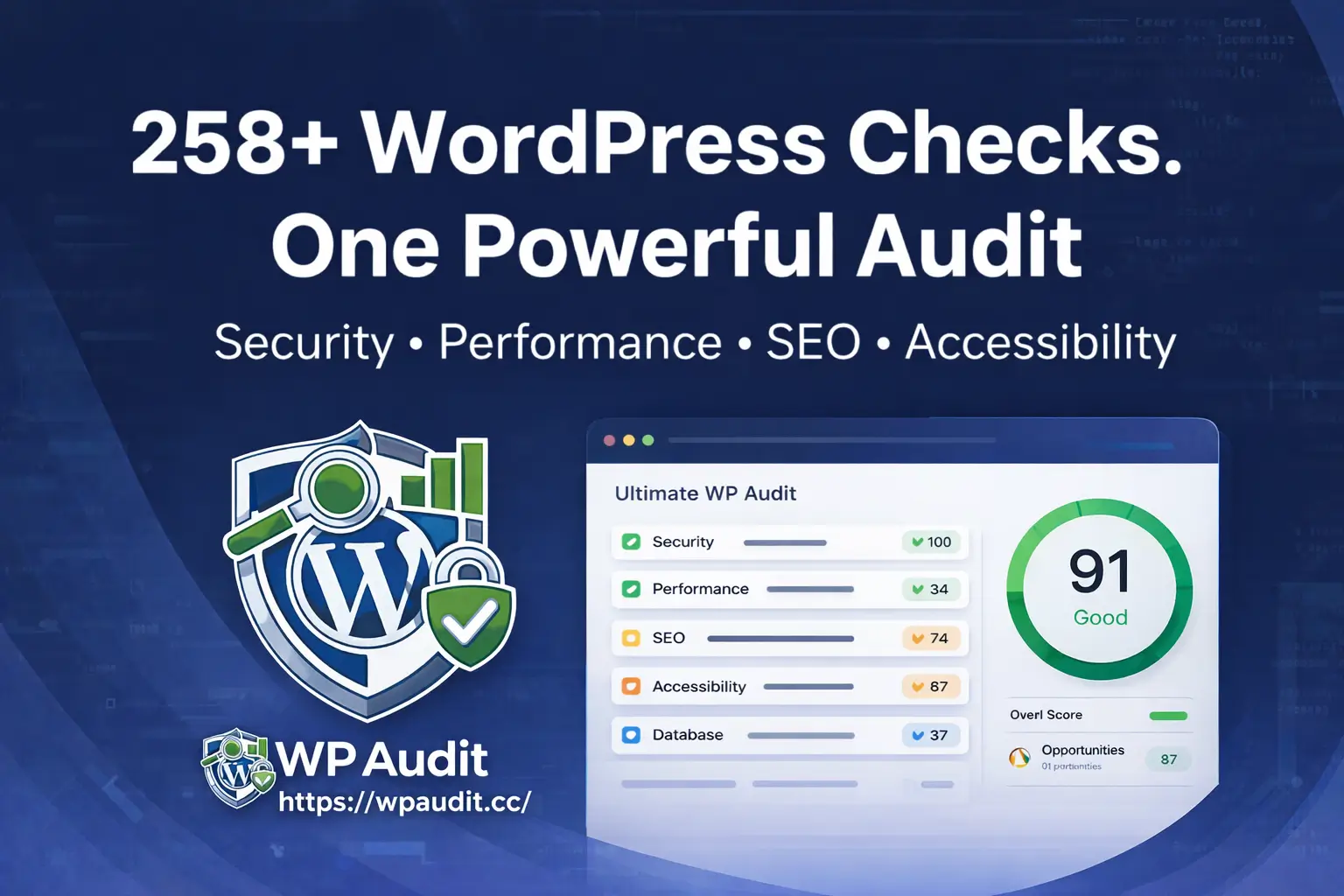 Ultimate WP Audit screenshot